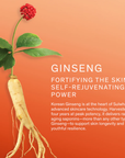 Best Beauty Group - SULWHASOO Concentrated Ginseng Renewing Cream MINI