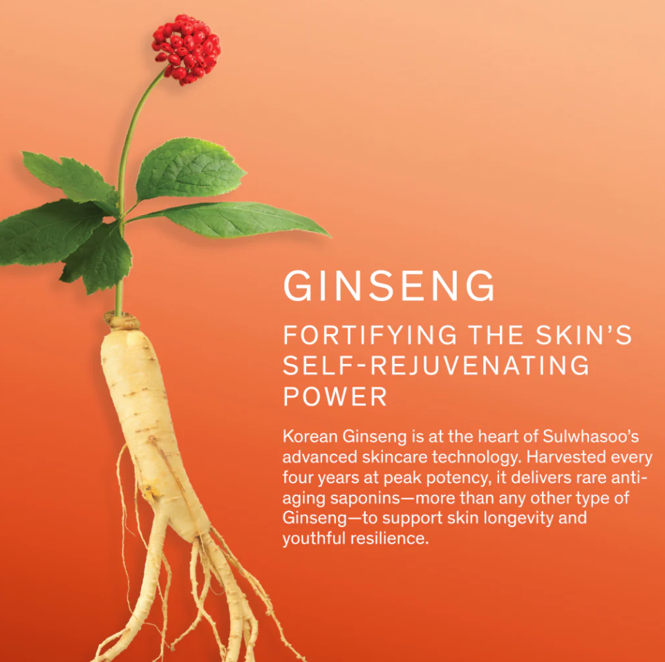 Best Beauty Group - SULWHASOO Concentrated Ginseng Renewing Cream MINI